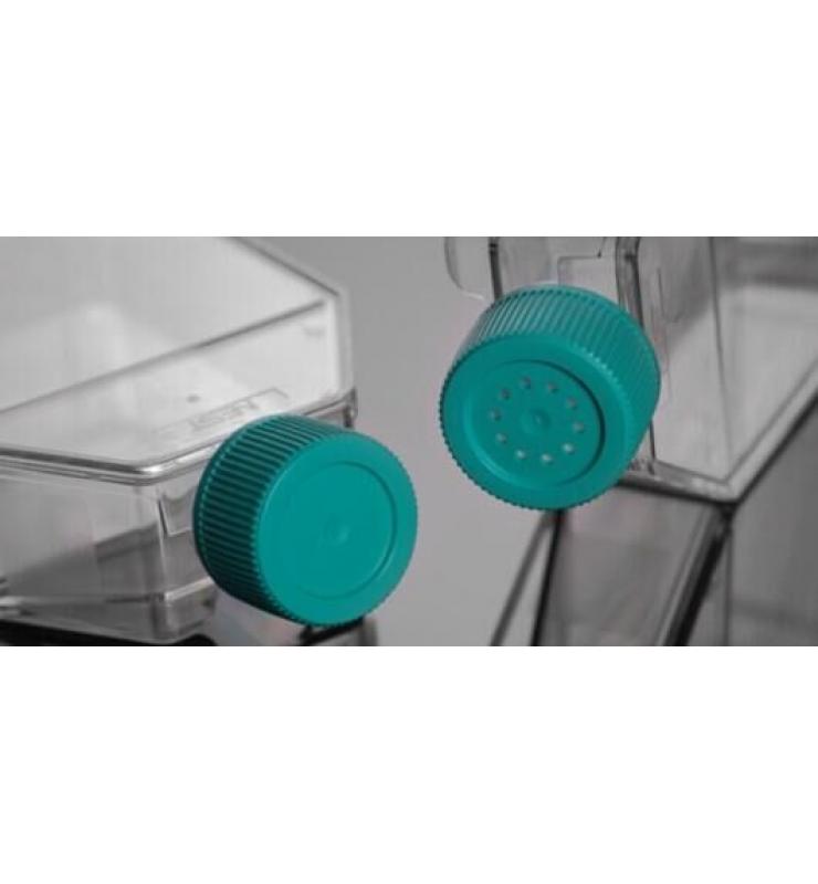 細(xì)胞培養(yǎng)瓶 細(xì)胞培養(yǎng)瓶